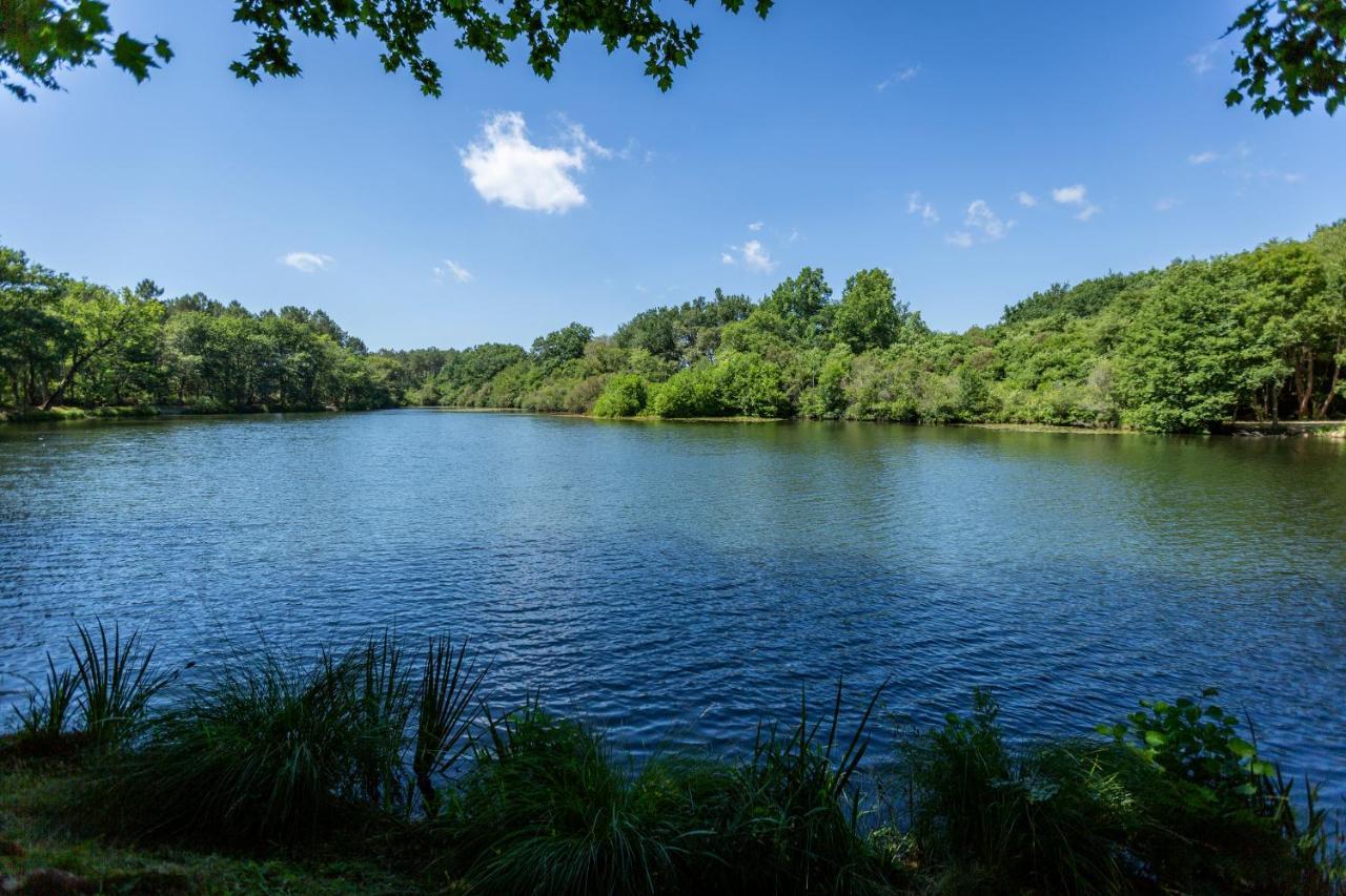 L'etang D'ardy *** *