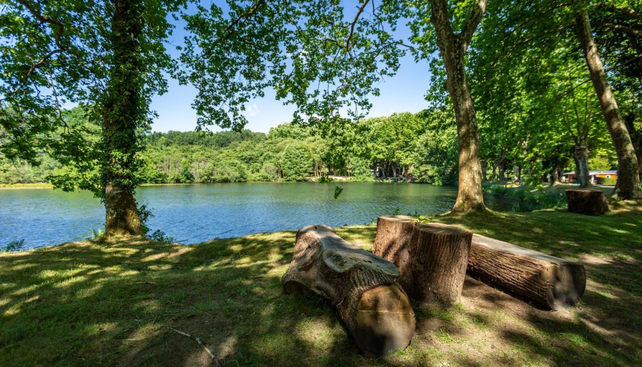 L'etang D'ardy *** *