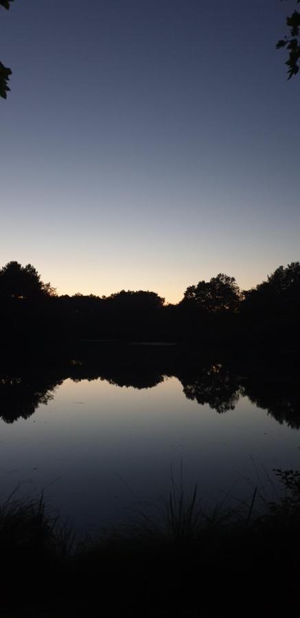 L'etang D'ardy ***