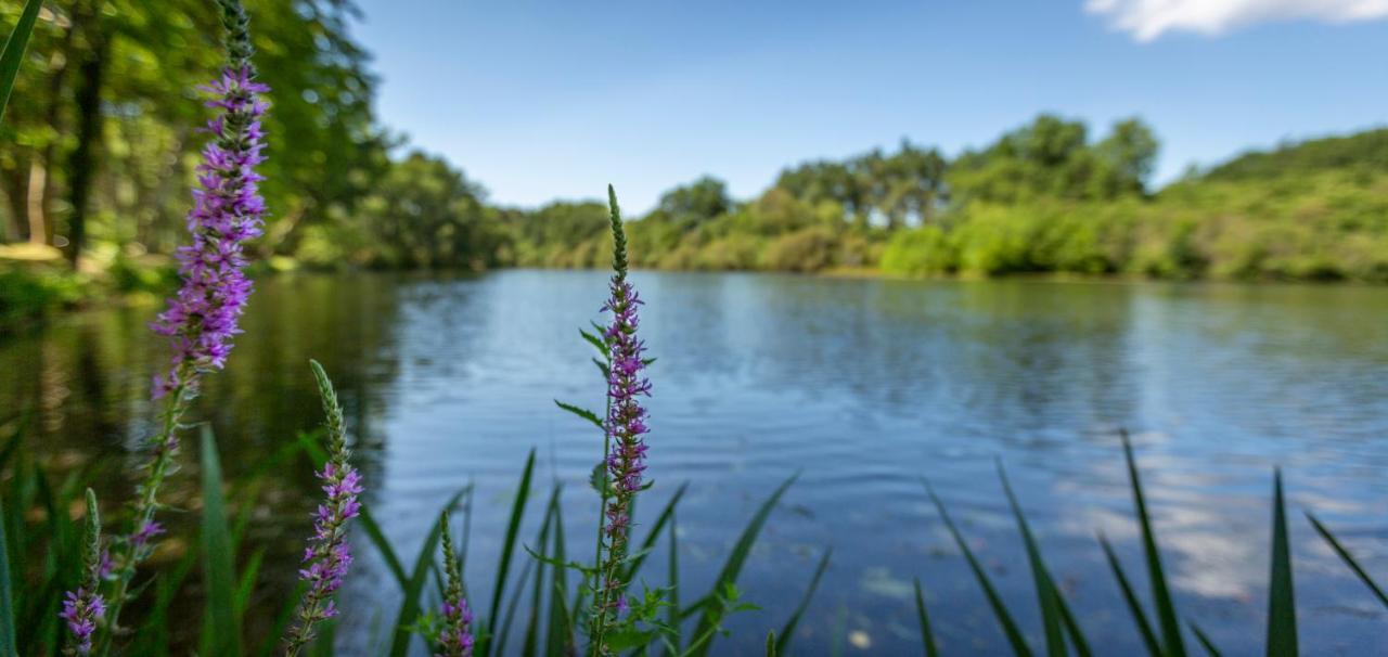 Campsite L'etang D'ardy *** *