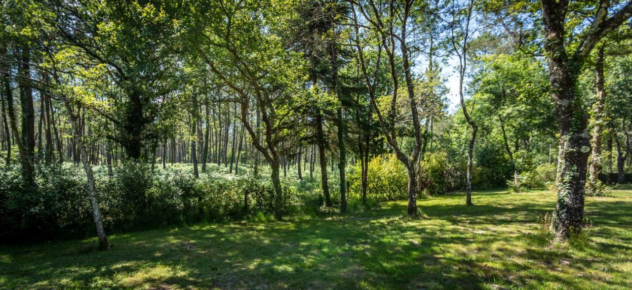 L'etang D'ardy *** Campingplatz Saint-Paul-lès-Dax
