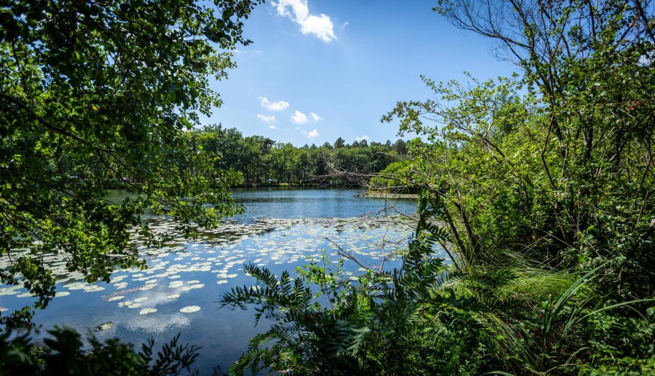 L'etang D'ardy *** Camping *